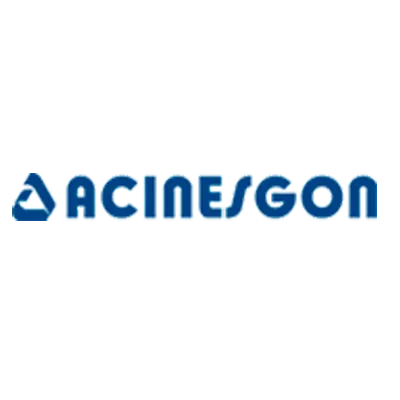 Acinesgon